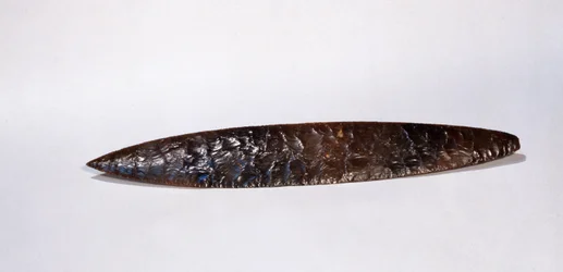 Sacrificial knife, from Nakum, Peten, Guatemala, Late Classic Period
